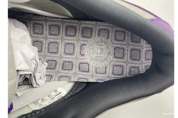 Pigeon Dunk Nike 304292-051 Low Purple SB 0921